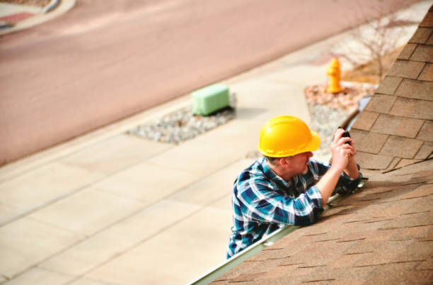 Roof Gutter Cleaning in Fisher, IL