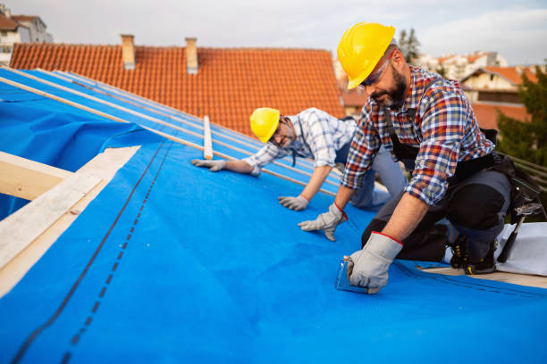 Best Storm Damage Roof Repair  in Fisher, IL