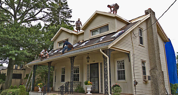 Best Roof Waterproofing Services  in Fisher, IL