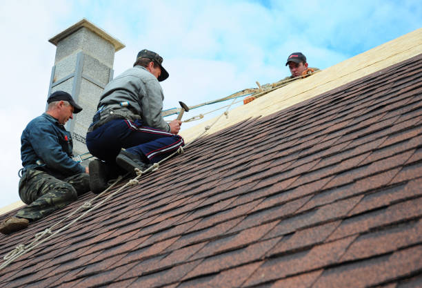 Quick and Trustworthy Emergency Roof Repair Services in Fisher, IL