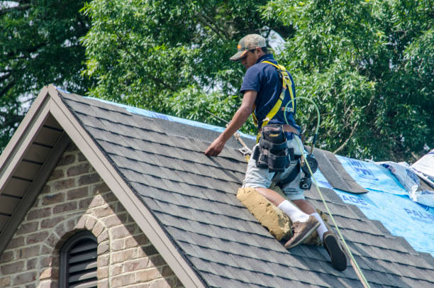 Best Roof Leak Repair  in Fisher, IL